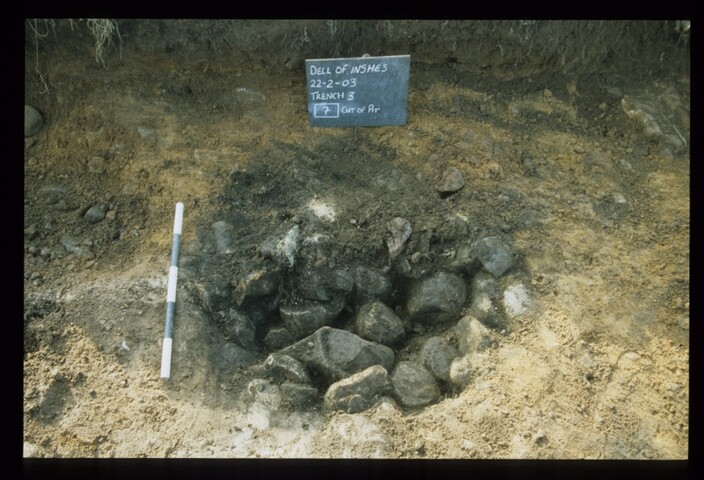 11982.jpg