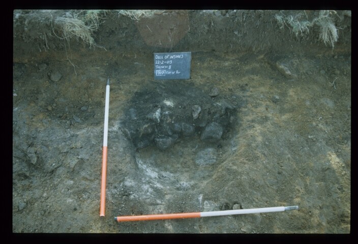 11983.jpg