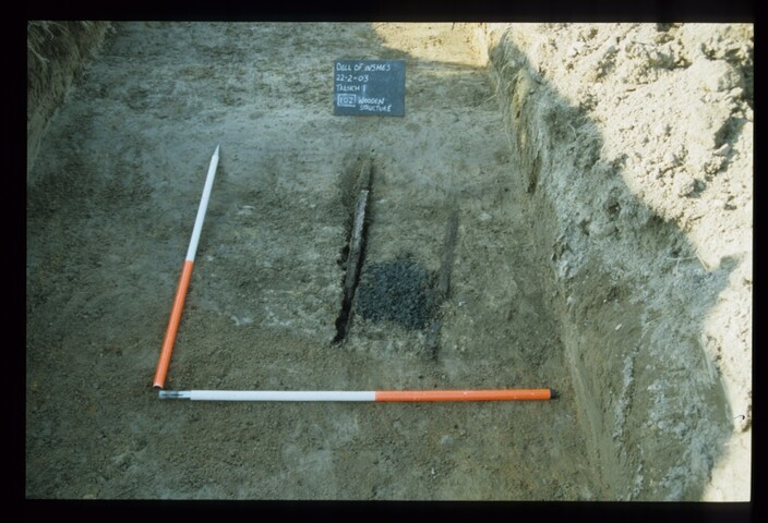 11986.jpg