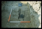 11986.jpg