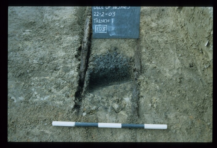 11992.jpg