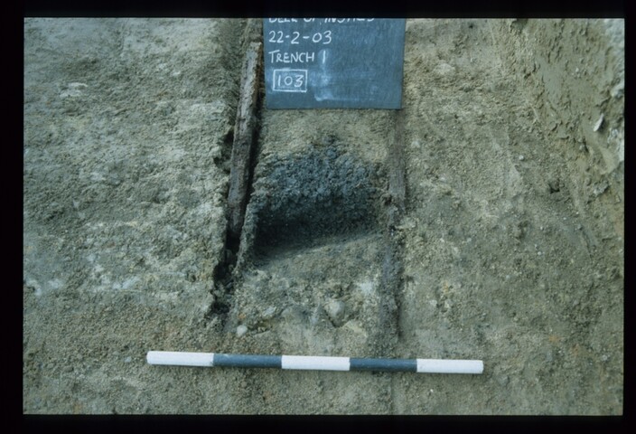 11993.jpg