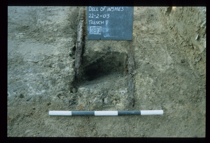 11994.jpg