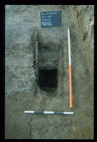 11995.jpg