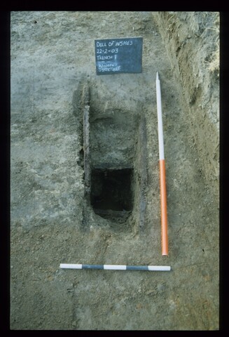 11996.jpg