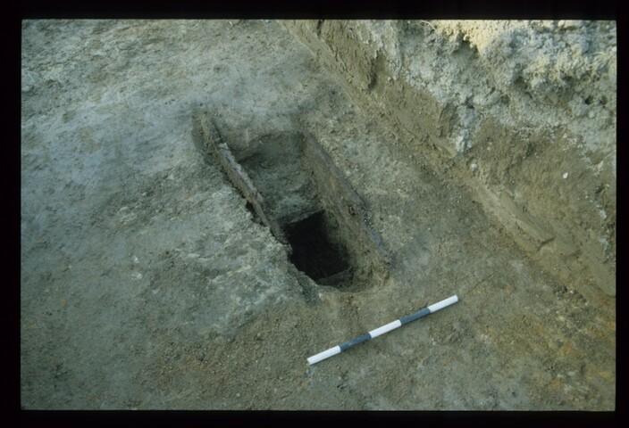 11999.jpg