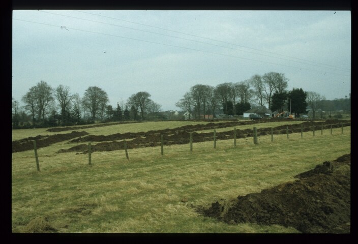 12007.jpg