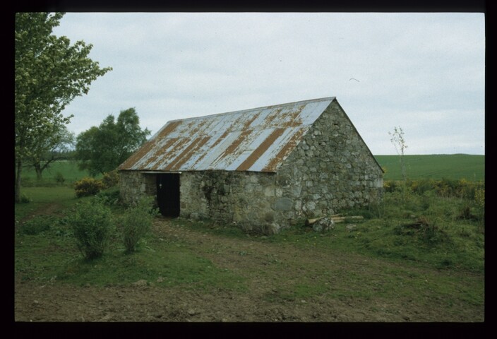 12359.jpg