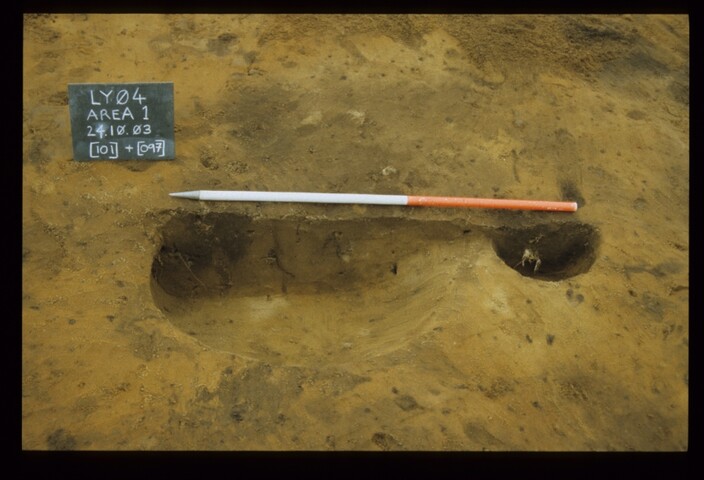 12647.jpg