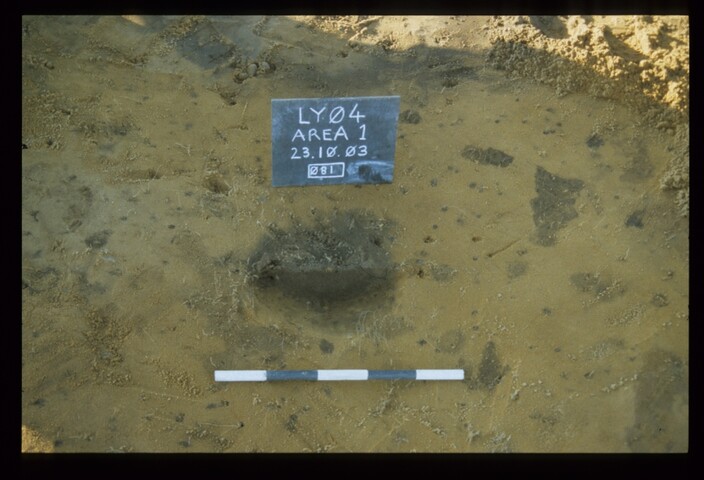 12644.jpg