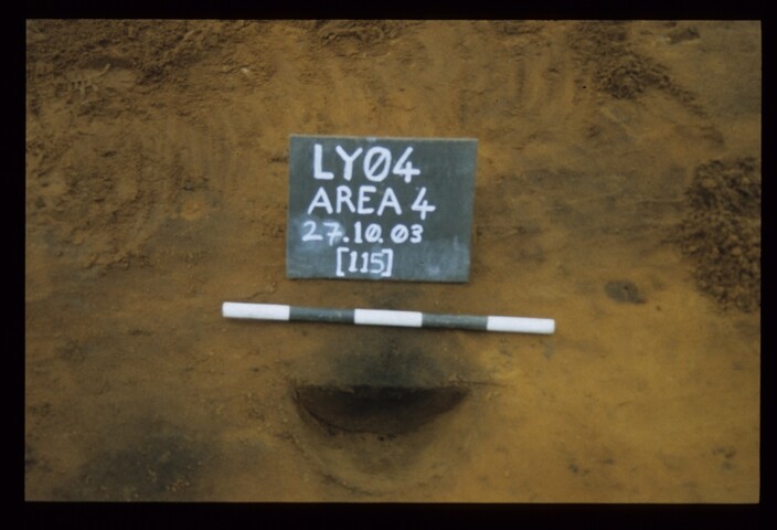 12650.jpg