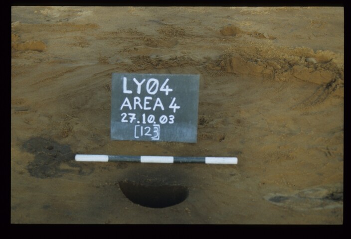 12654.jpg