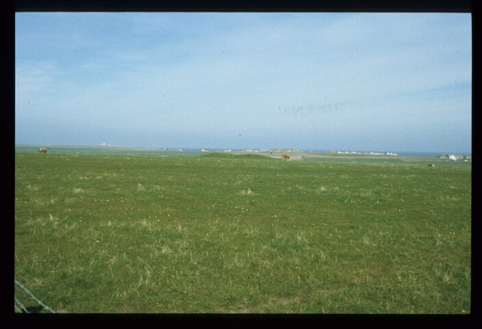 12688.jpg