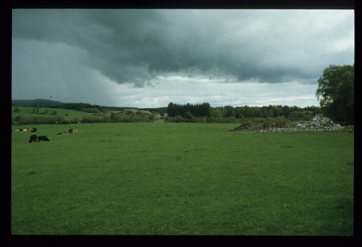 12690.jpg
