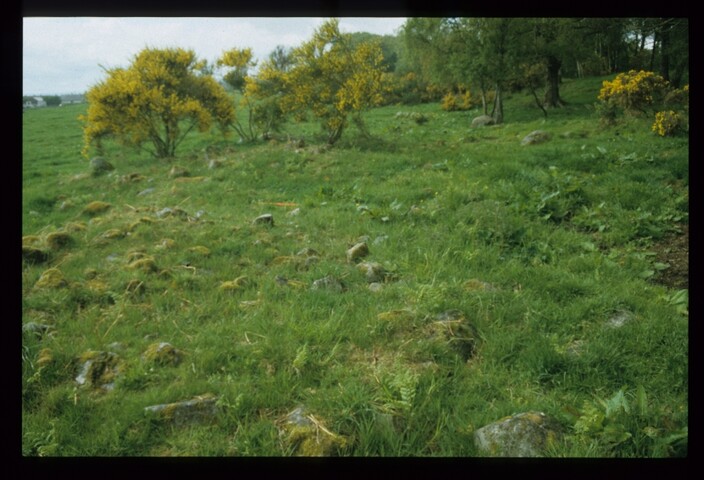 12702.jpg