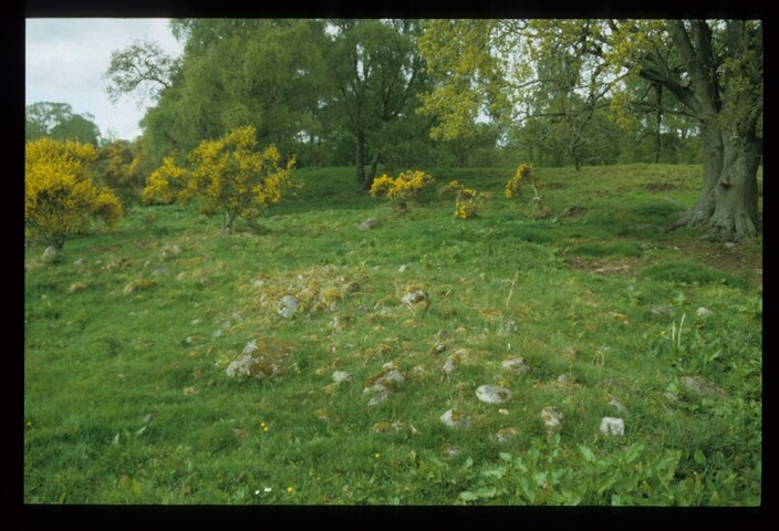 12703.jpg