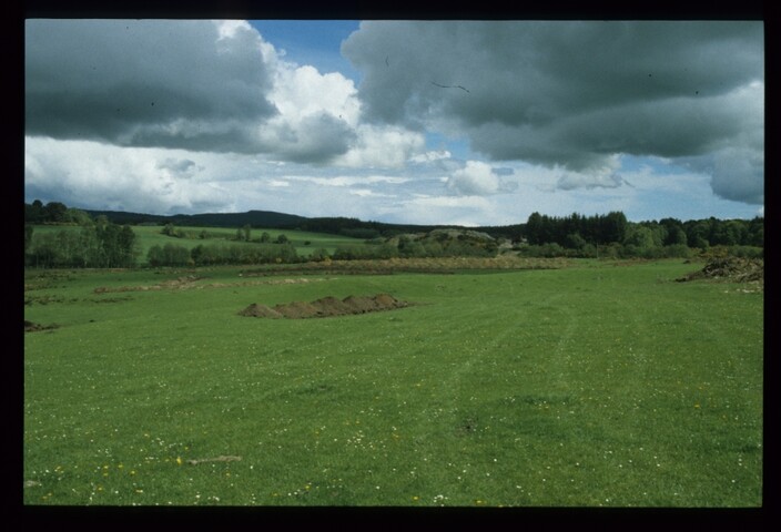 12749.jpg