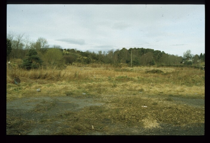 12787.jpg