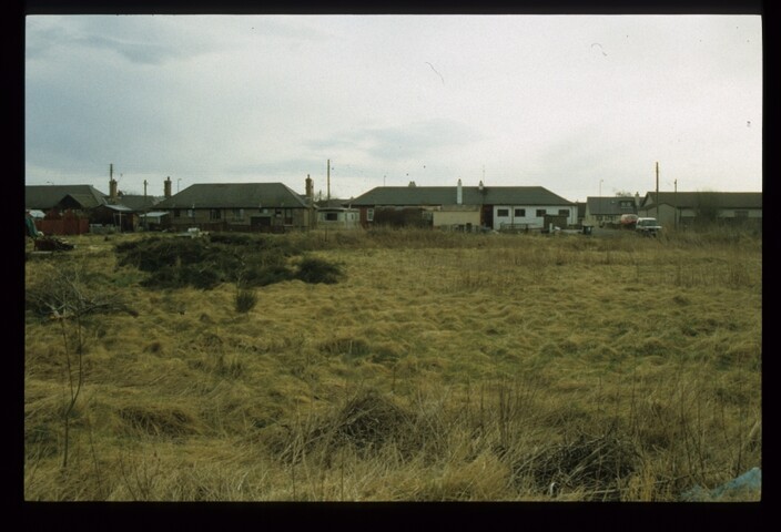 12790.jpg