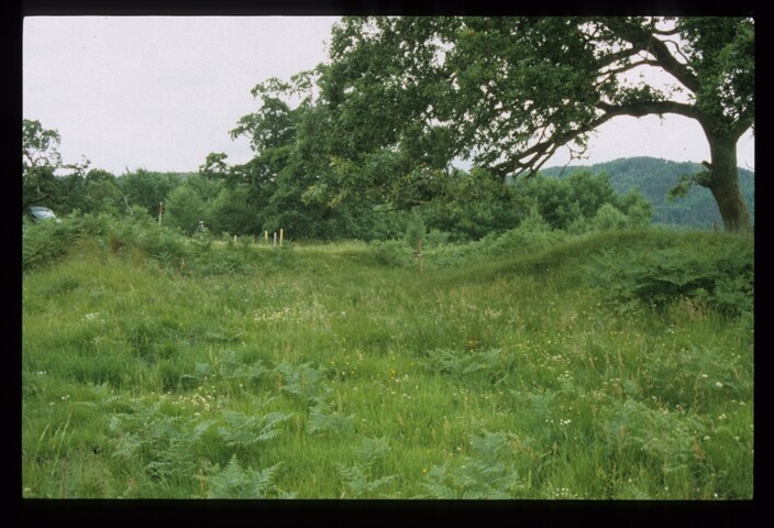 12806.jpg