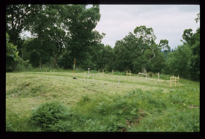 12815.jpg