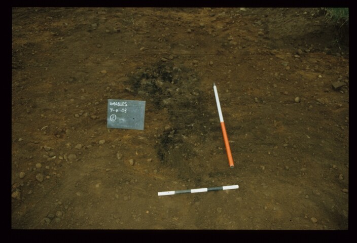 12846.jpg