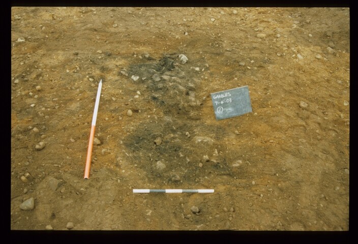 12848.jpg