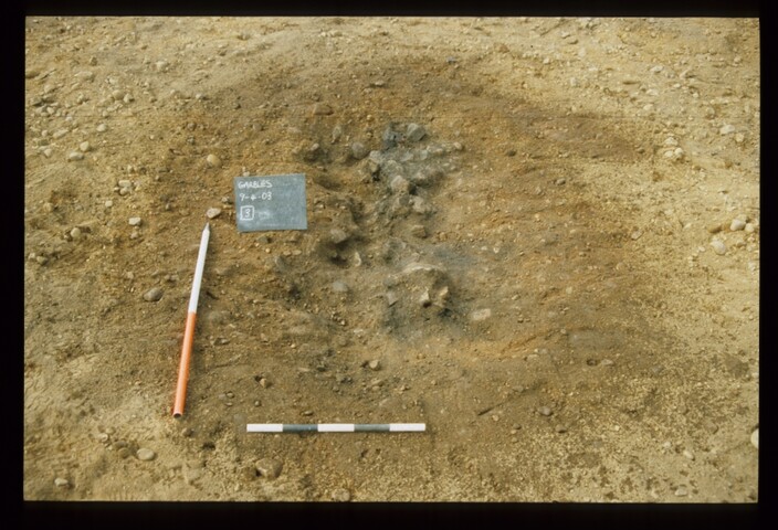 12849.jpg