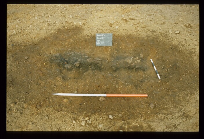 12850.jpg
