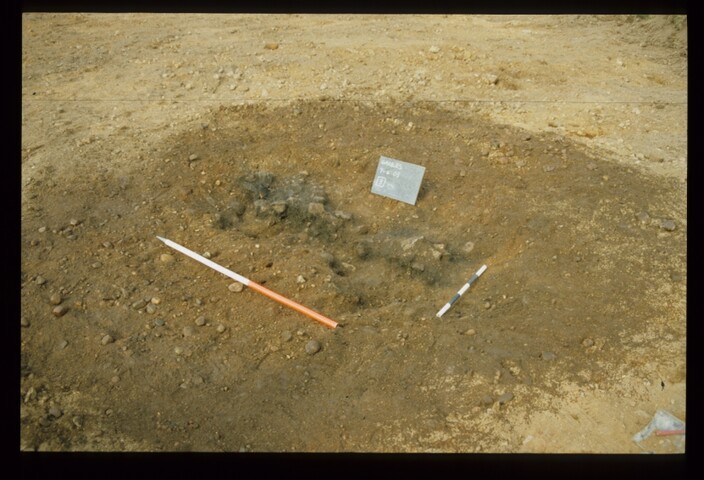 12851.jpg