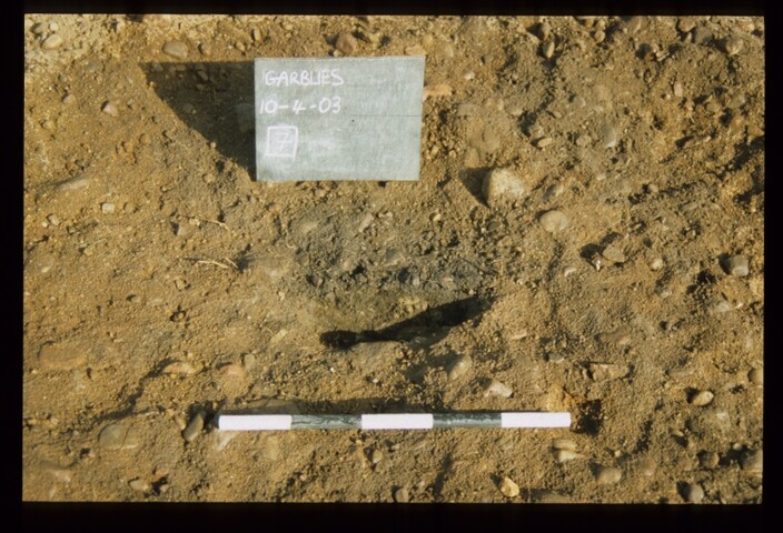 12856.jpg