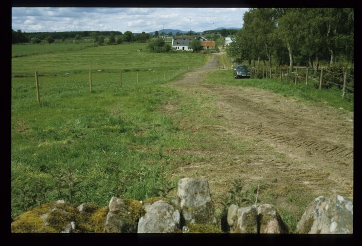 12897.jpg