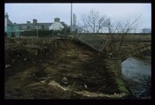 13041.jpg