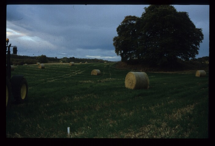 13066.jpg