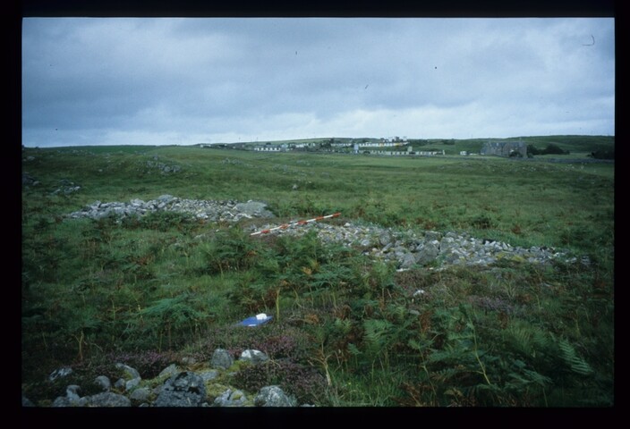 14064.jpg