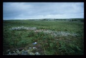 14064.jpg
