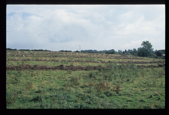 14330.jpg