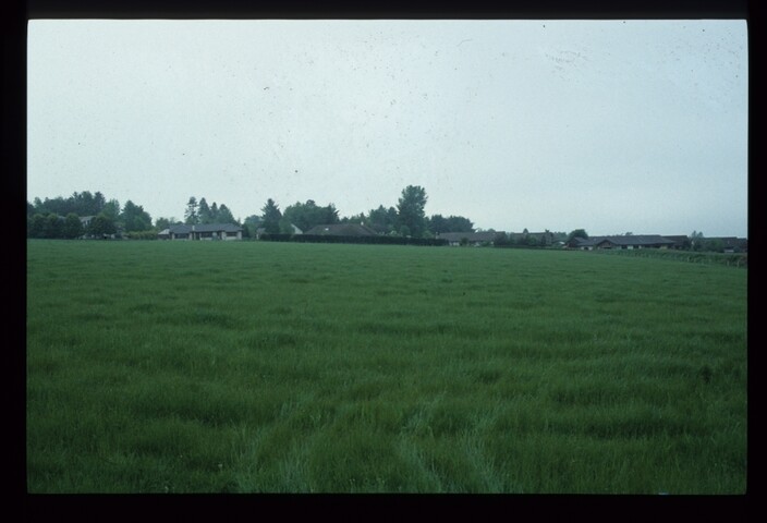 14346.jpg