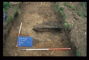 14353.jpg