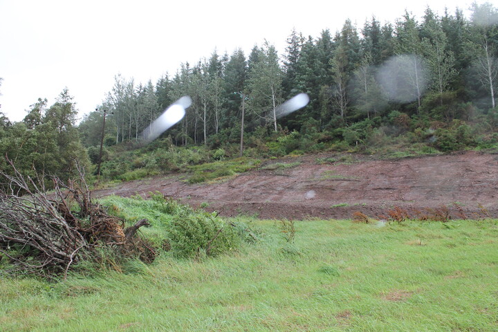 EHG4377_03.JPG