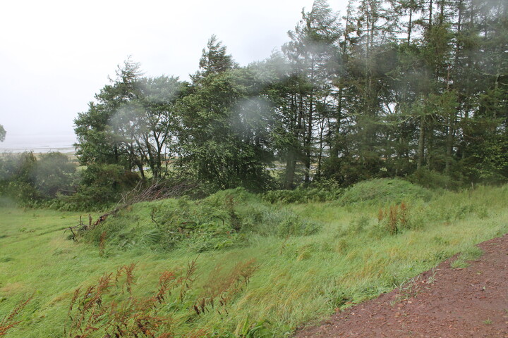 EHG4377_08.JPG