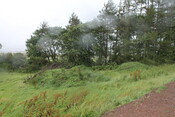 EHG4377_08.JPG