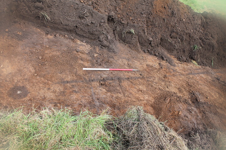 EHG4377_11.JPG
