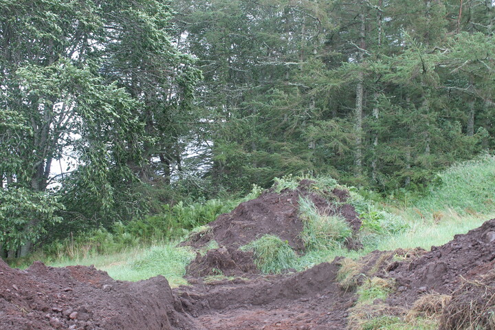 EHG4377_14.JPG
