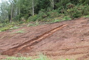 EHG4377_18.JPG