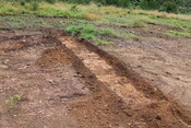 EHG4377_21.JPG