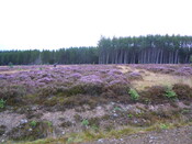 EHG4384_002.JPG
