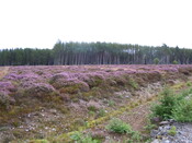 EHG4384_006.JPG