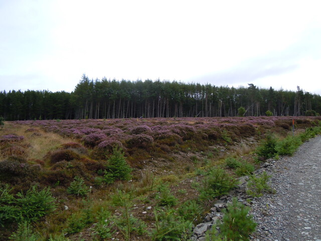 EHG4384_007.JPG