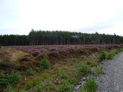 EHG4384_007.JPG